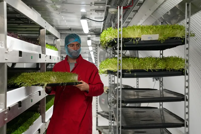Maa-alune farm võtab enda alla ühe kilomeetri jagu tunneleid.