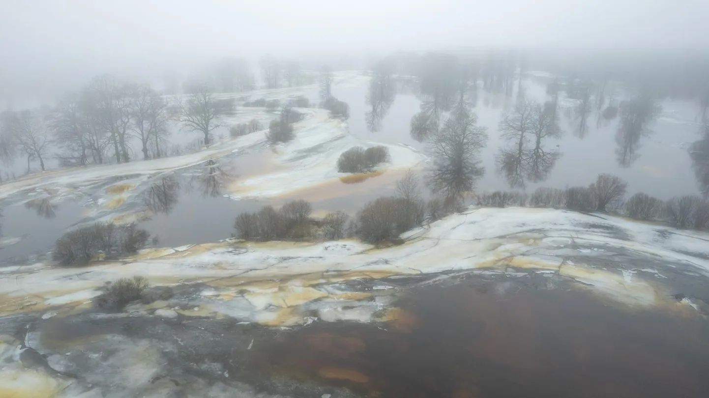 Teiste valikute hulgas on võimalik hääl anda Soomaa tänavusele kiiresti muutunud suurveele. Pilt on tehtud udusel 28. veebruaril.