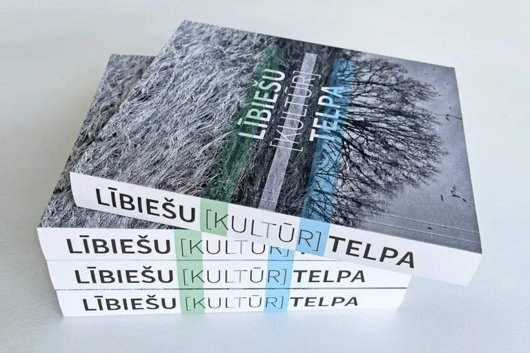 Raksta foto