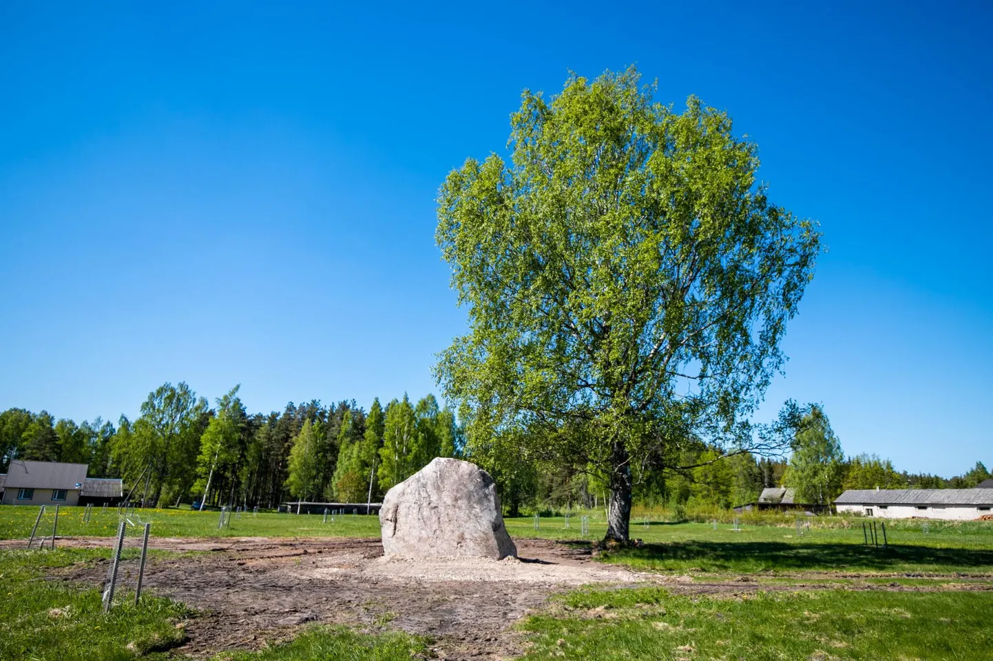 Kilingi-Nõmme gümnaasiumi õpilased kinkisid koduvallale ja riigile 100 tamme salu, millest kujuneb kohaliku noore autori Karin Rea eskiisi järgi kõnniradadega looduspark pinkide, valgustuse ja teematahvlitega, näiteks haridus, muusika.