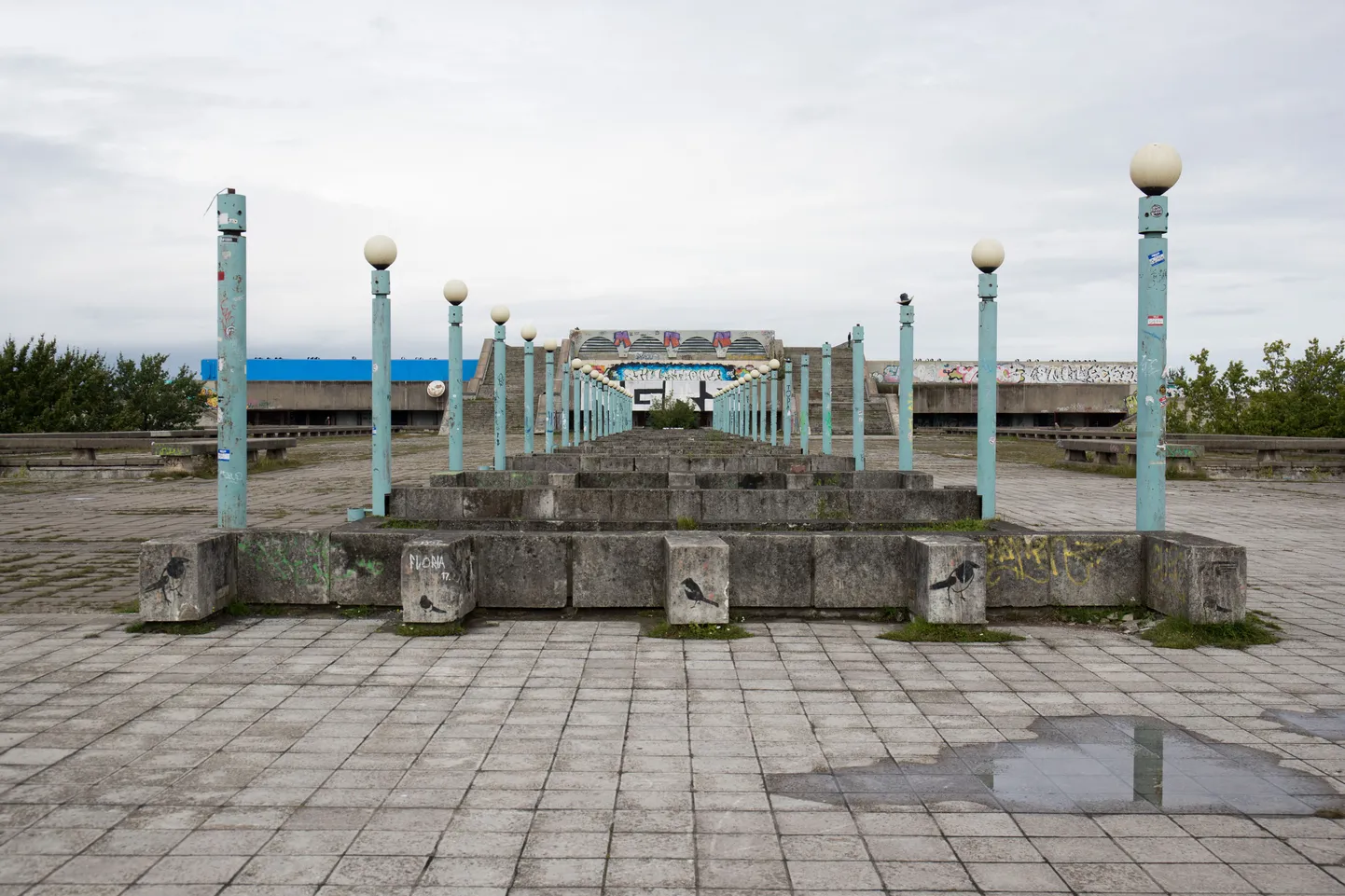Фото статьи