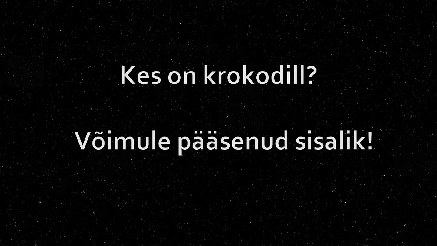 Artikli foto