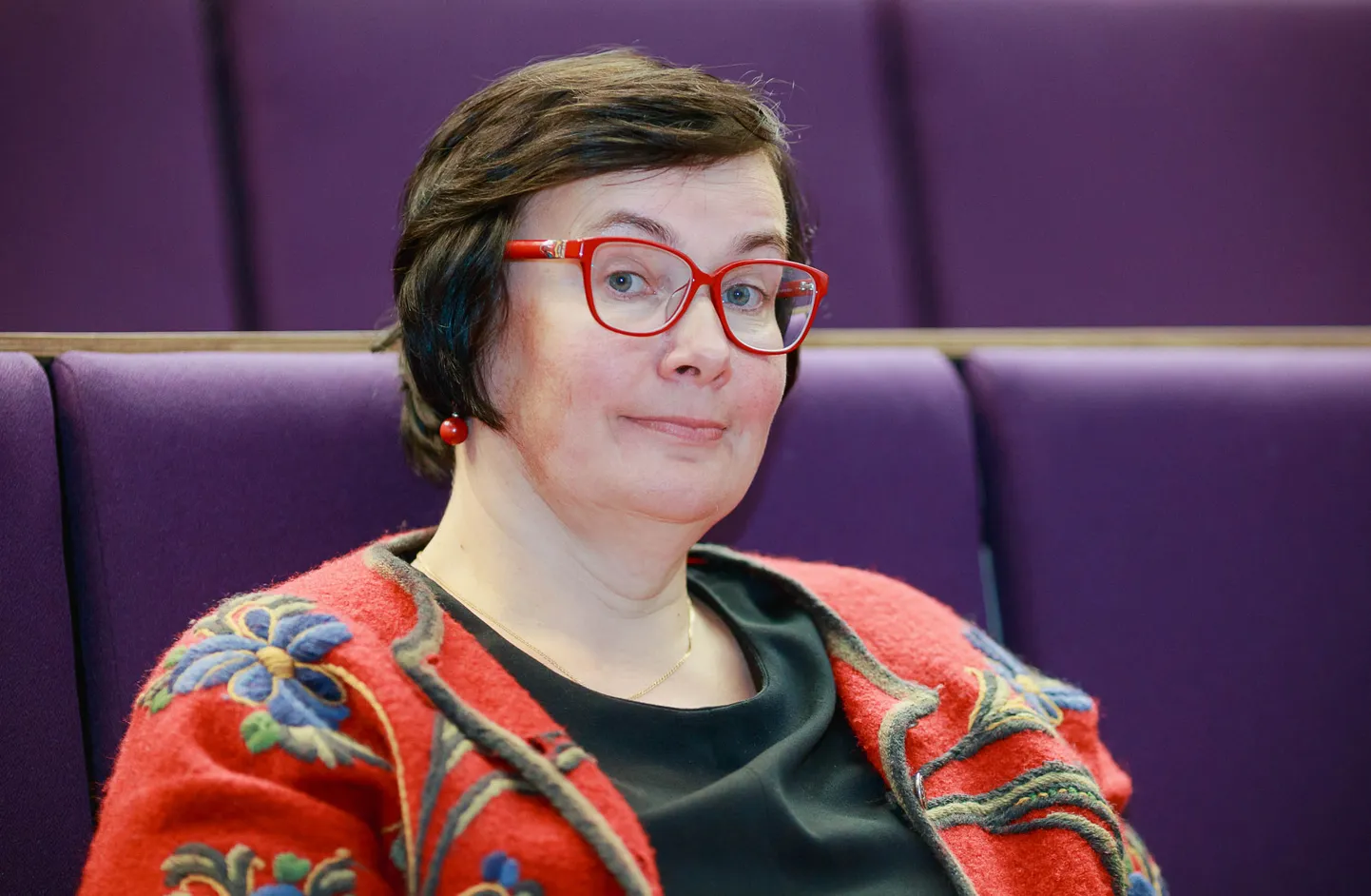 Katri Raik, Riigikogu ja Narva linnavolikogu liige, Sotsiaaldemokraatlik Erakond