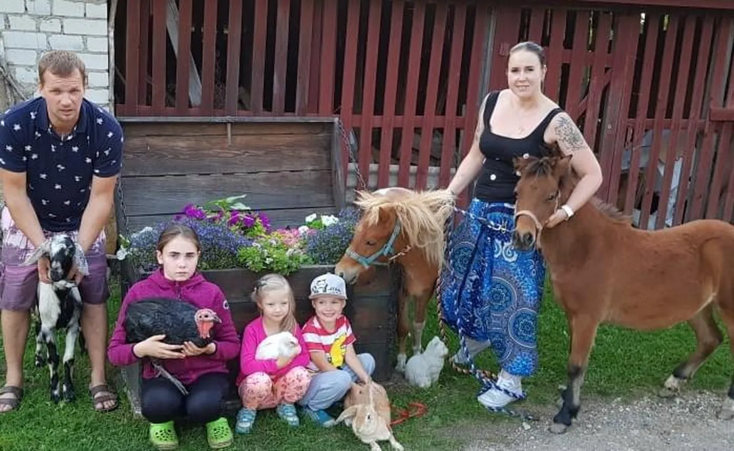 Kase talu perenaine Eveli Andrek (37) ning peremees Margus Kangur (37) kolisid lastega Kirepi külla kolm aastat tagasi. Eelmisel suvel lõid nad koduse loomapargi ja nüüd ootab pererahvas 28. septembril kõiki loomasõpru endale külla.