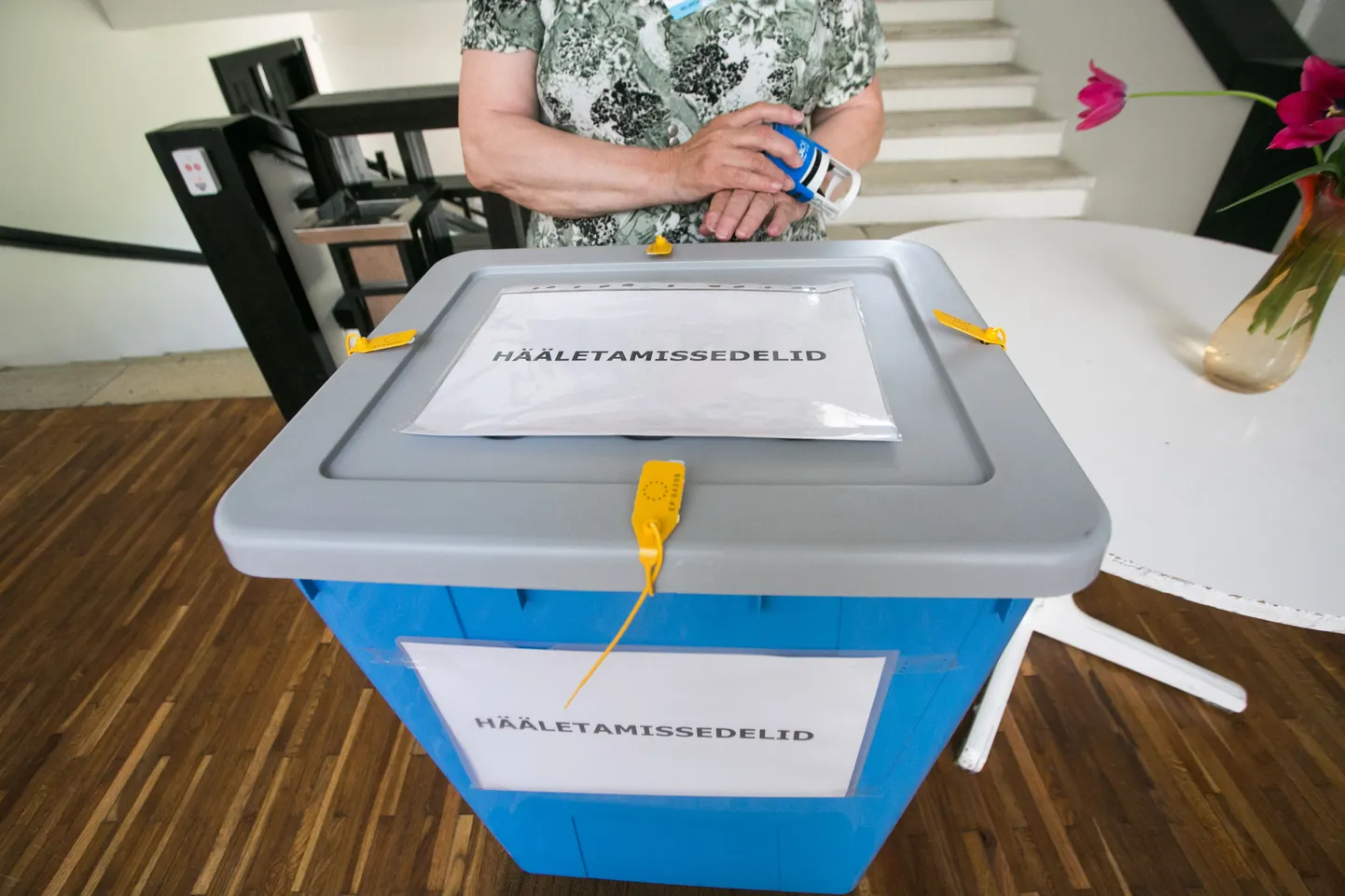 Euroopa Parlamendi 2014. aasta valimised Paides.