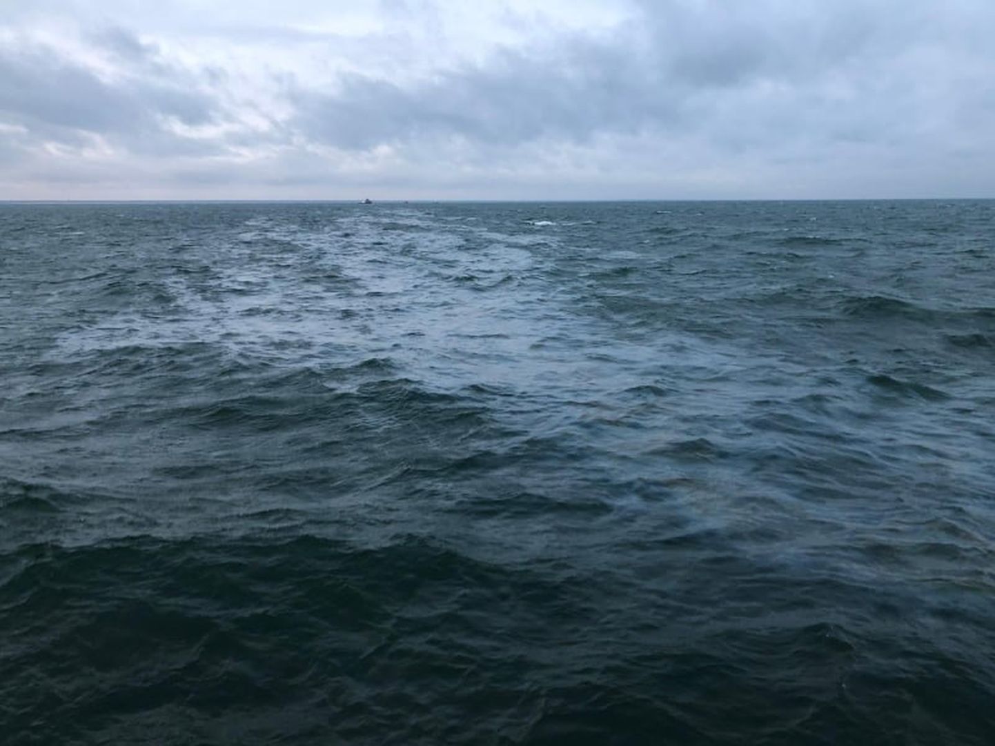 Naftas noplūdes radītais plankums Baltijas jūrā.
