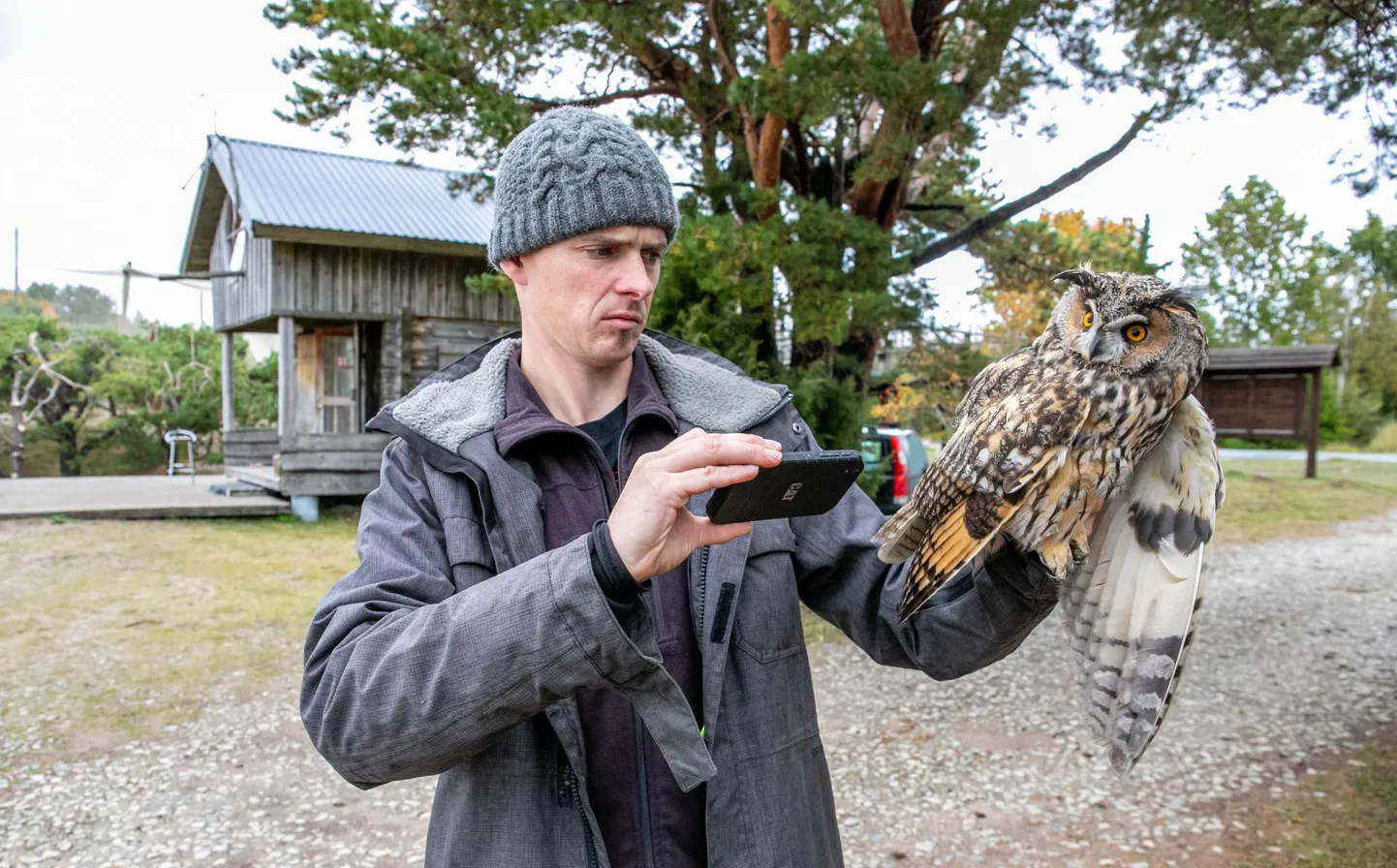 Kõrvuk­räts ootab kannatlikult, millal keskkonnaagentuuri eluslooduse osakonna peaspetsialist Meelis Leivits ta pildile saab.