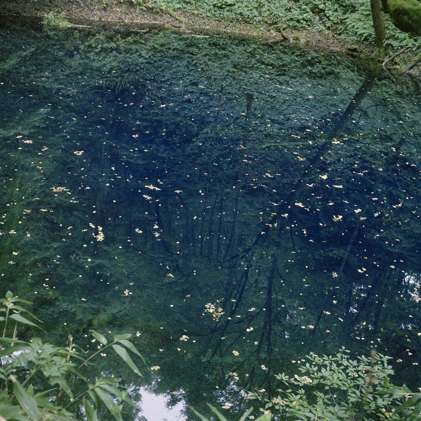 «Aoike», seeriast «Mittekohad», 2013