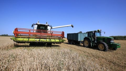 ALGAS LÕIKUSAEG ⟩ Kaheksa tonni hektarilt, kuid vihm võib rõõmu kiiresti rikkuda