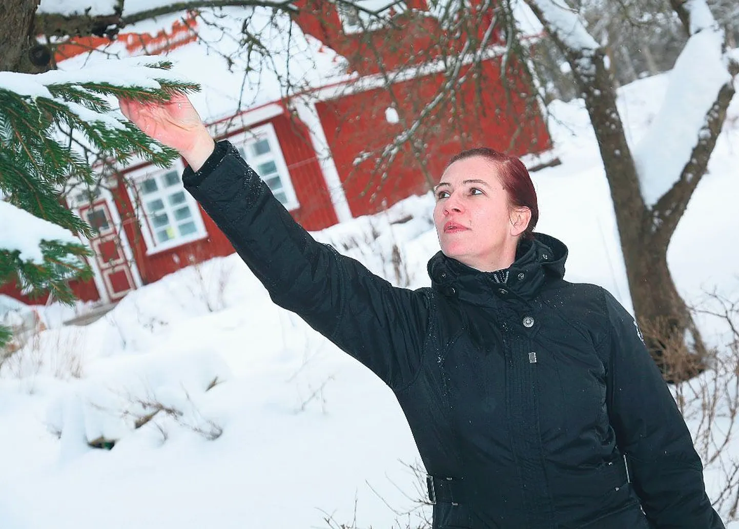 Üksikema Piret Dreimann võttis oma pere kolme lapse kõrvale kasvama kolm kasulast. Kuigi vahel tuleb kokku hoida, vaatab tragi naine tulevikku positiivselt ja loodab, et lastest kasvavad tublid inimesed.