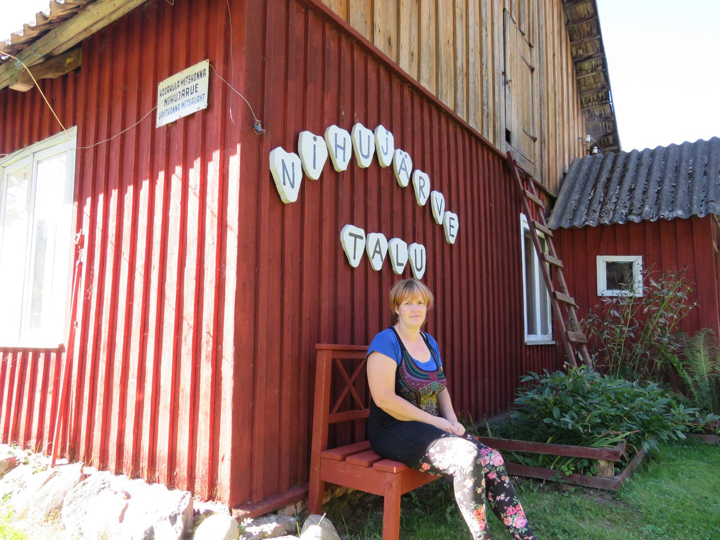 Päikeseelektrijaama sai oma õuele Nihujärvel endises metsavahitalus elav Anneli Juhanson. Ta ütles, et voolukatkestusi pole nüüd kordagi ette tulnud ning voolukõikumisi ka ei ole.