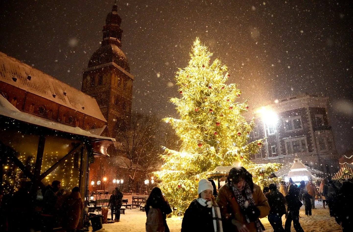 Рождественская елка на Домской площади