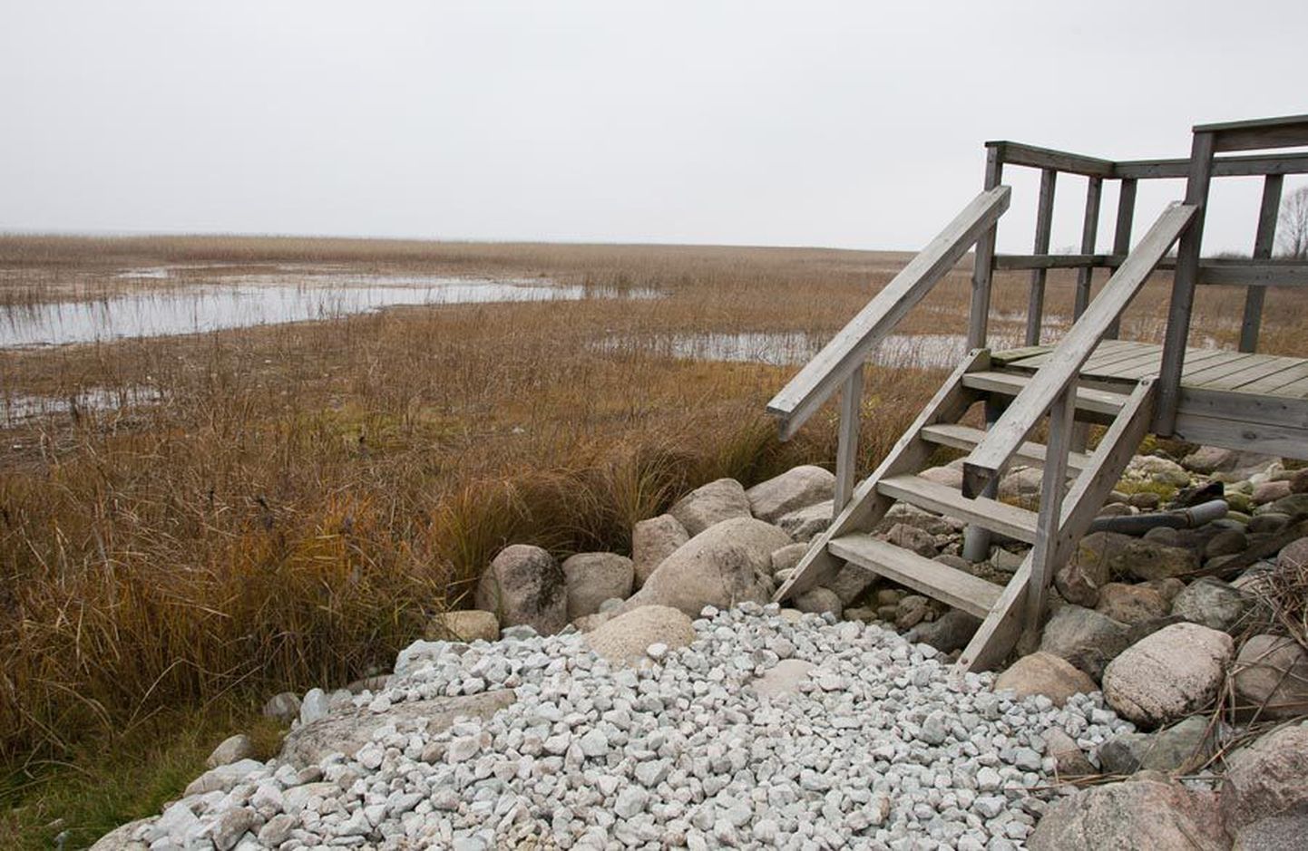 Vaatlustorn Võrtsjärve ääres on kuival ja järv taandunud. Suurvee ajal kuiva jalaga torni ei pääsenud.
