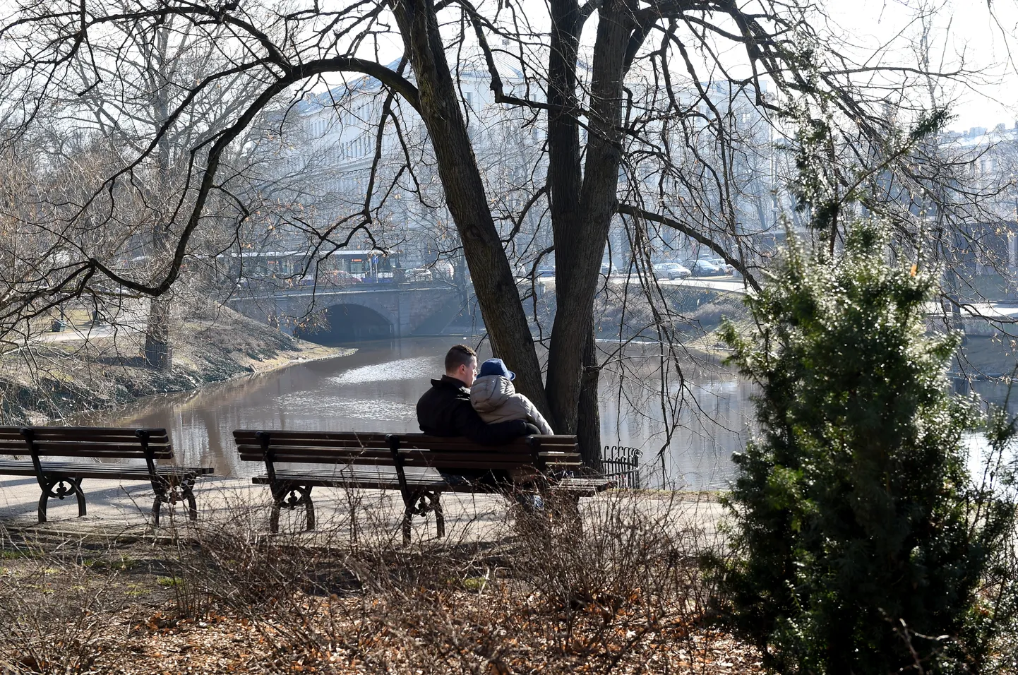 Фото статьи