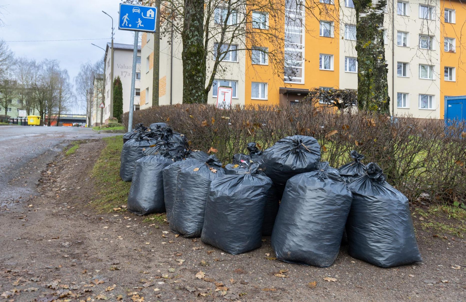 Äraveoks valmis puulehekotte märkab Viljandis endiselt, see pilt on tehtud 15. novembril.