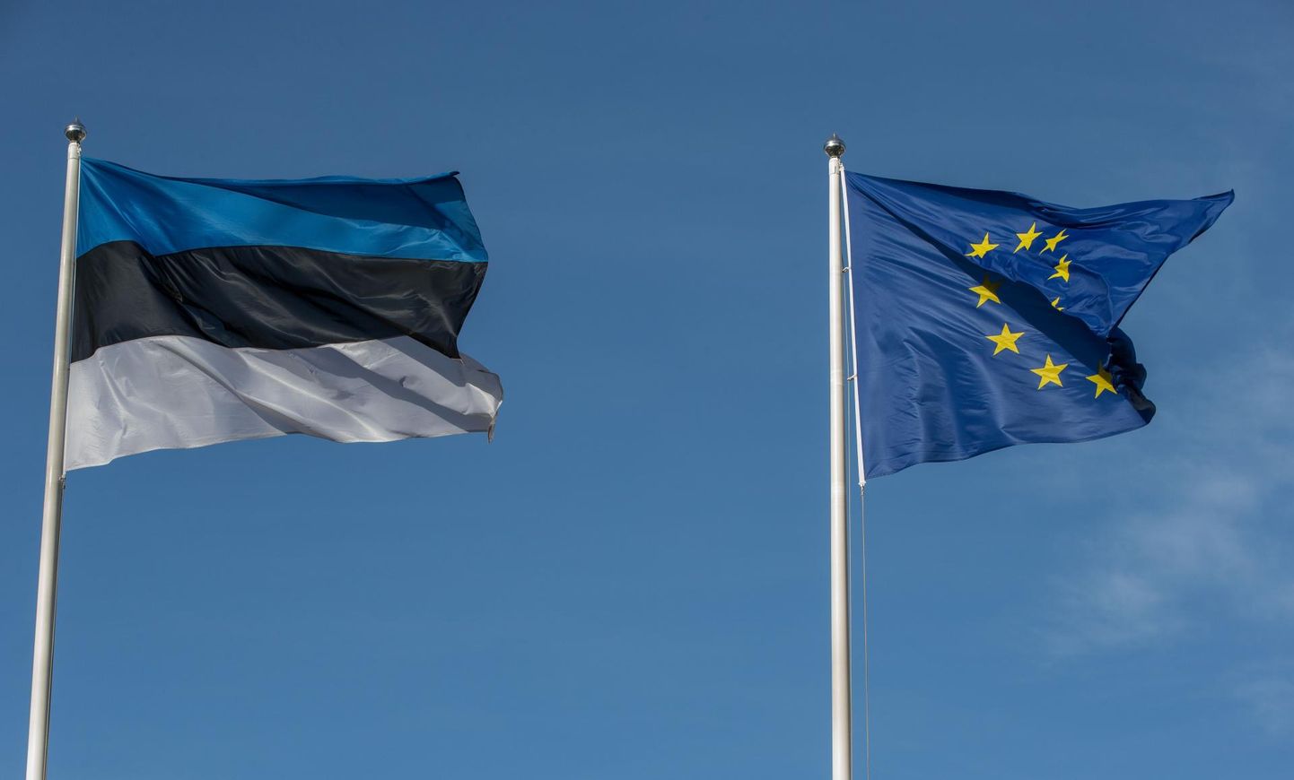 Eesti Vabariigi lipp, Euroopa Liidu lipp.