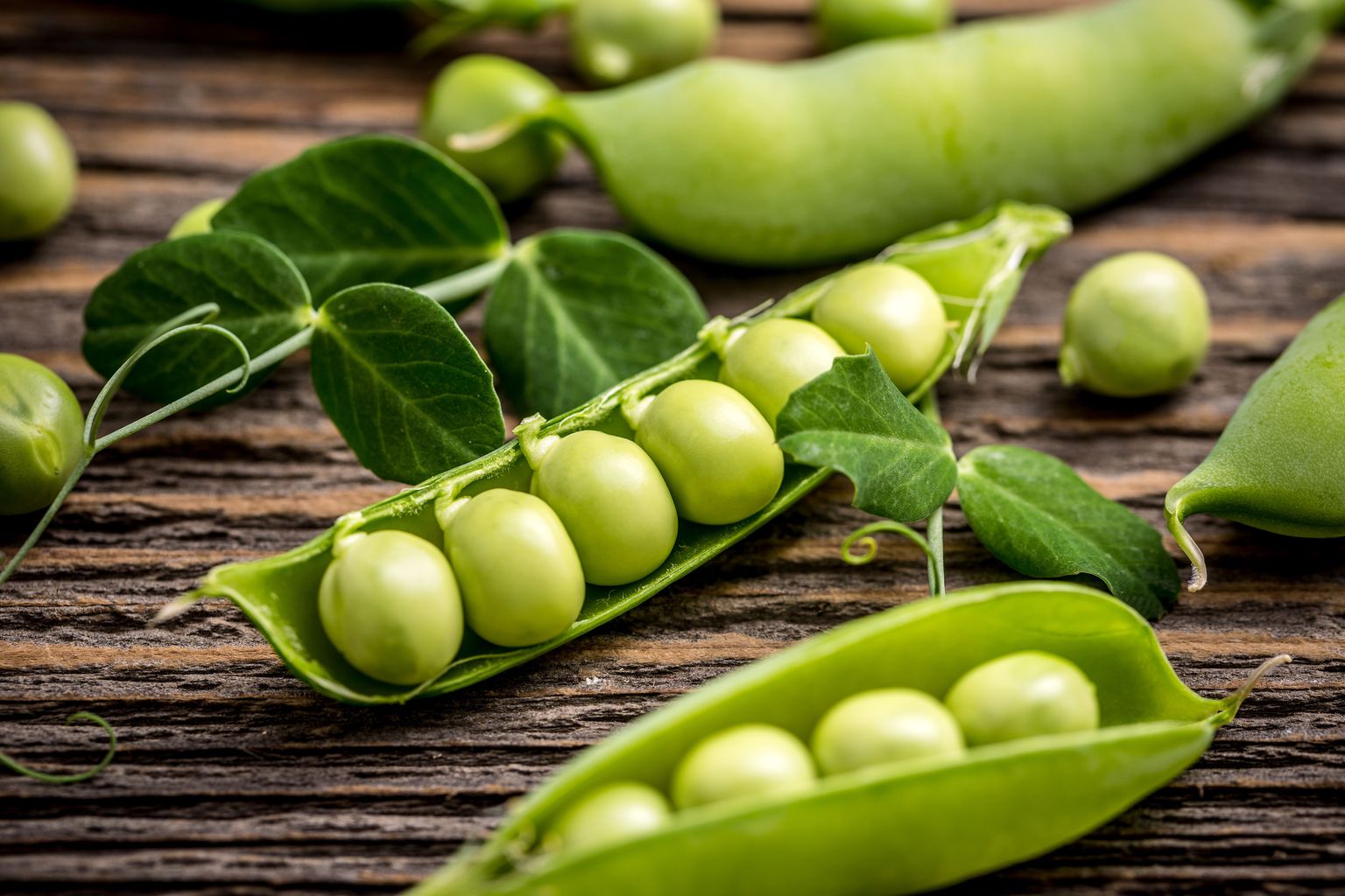 Roheline hernes on rikas ka füto-toitainete poolest, mis on antioksüdandid ja põletikuvastase toimega.