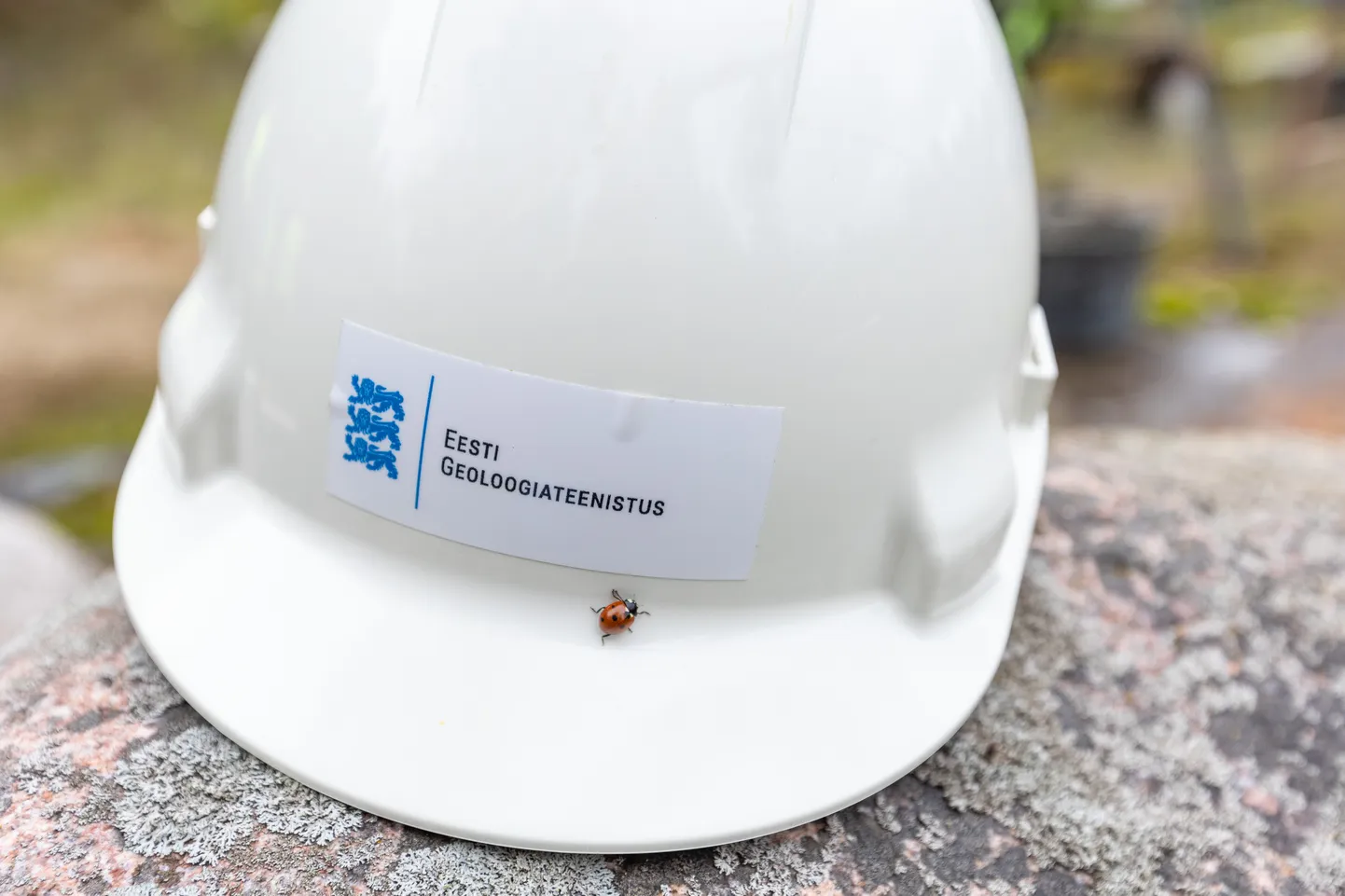 Eesti geoloogiateenistuse logoga kiiver.
