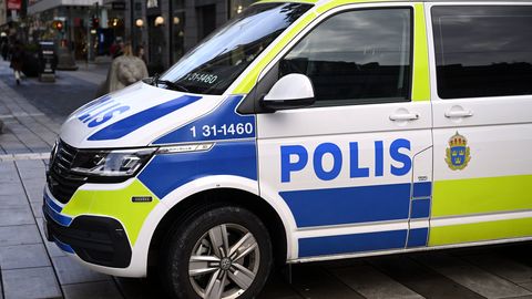 Швеция шокирована жестоким преступлением: родители подозреваются в убийстве двух детей