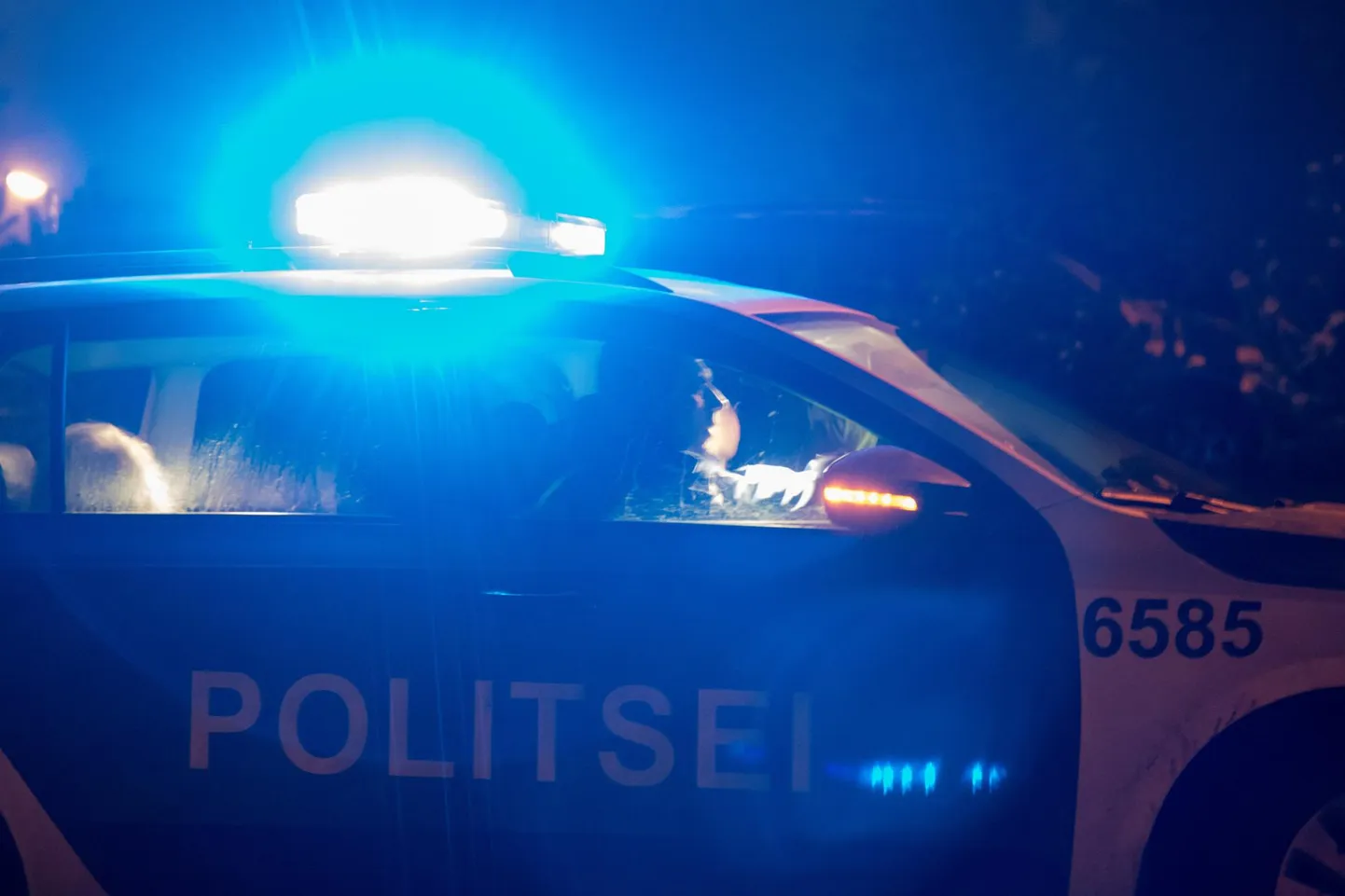 Politsei. Foto on illustratiivne.