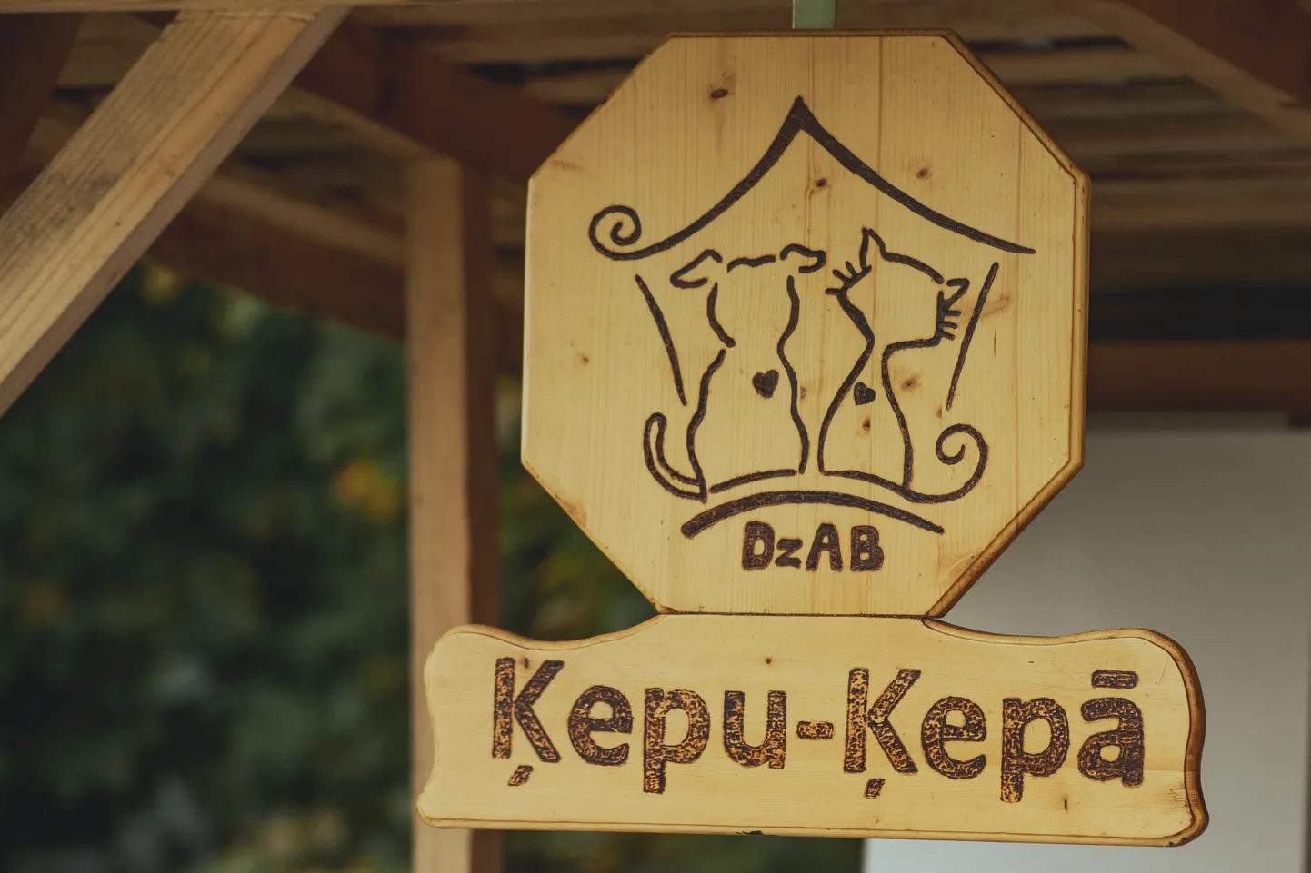 Dzīvnieku aizsardzības biedrība "Ķepu-ķepā".
