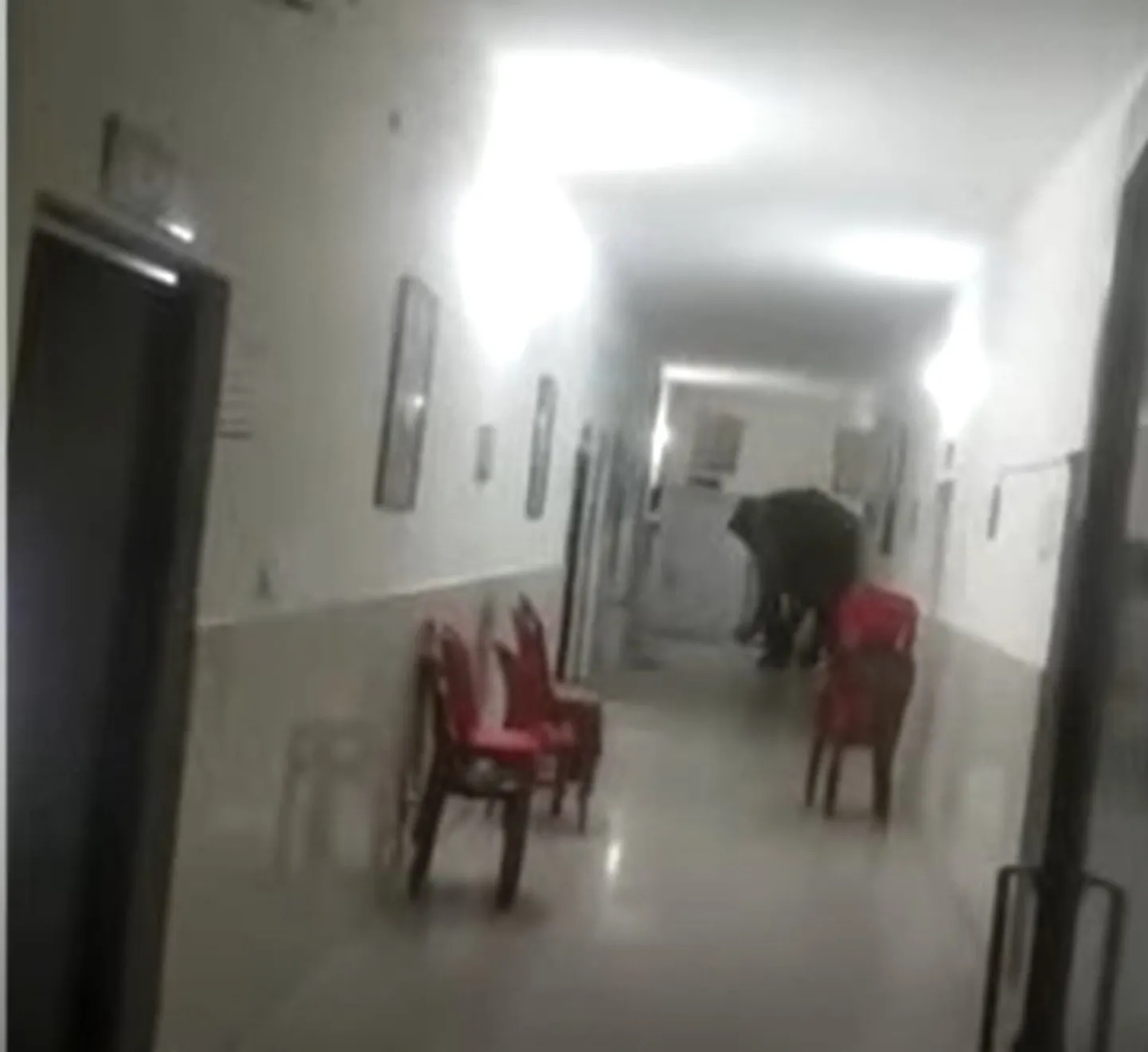 Kuvatõmmis videost.