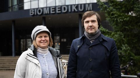 TUULIKULAHINGUD ⟩ Teadlased ei uurigi tegelikult tuulikute infraheli mõju inimestele