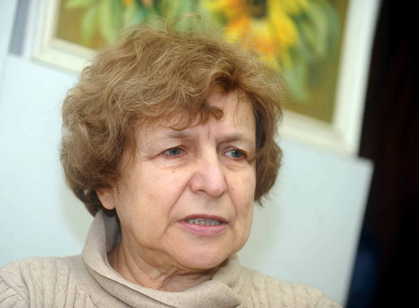 Raksta foto