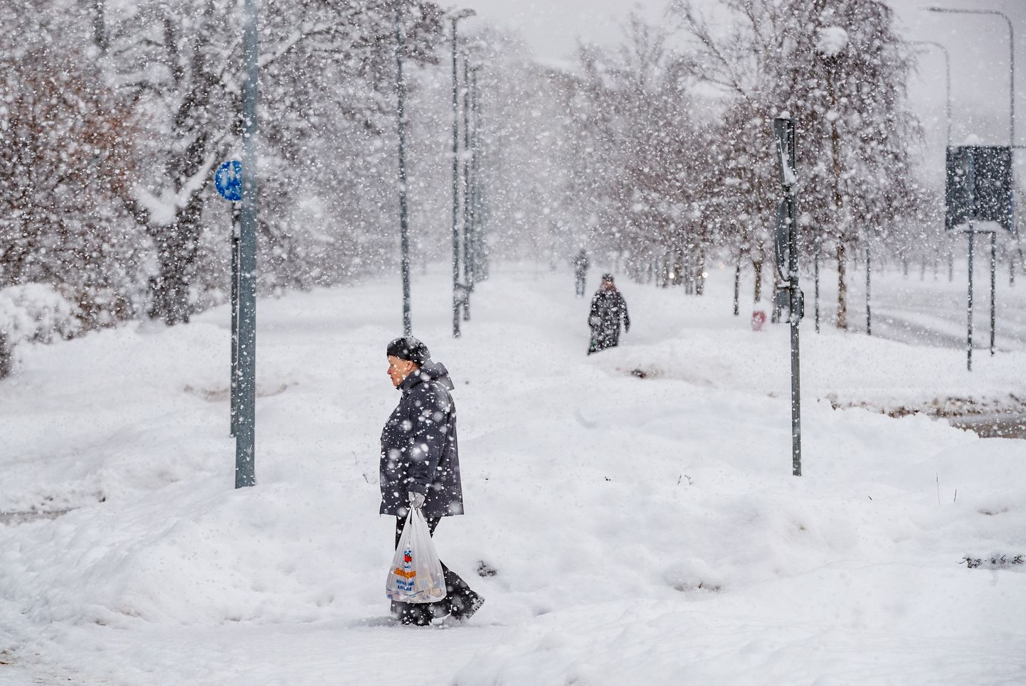 Nädalavahetuseks lubatud väikese lumesaju asemel tabas Tallinna tõeline lumeuputus.