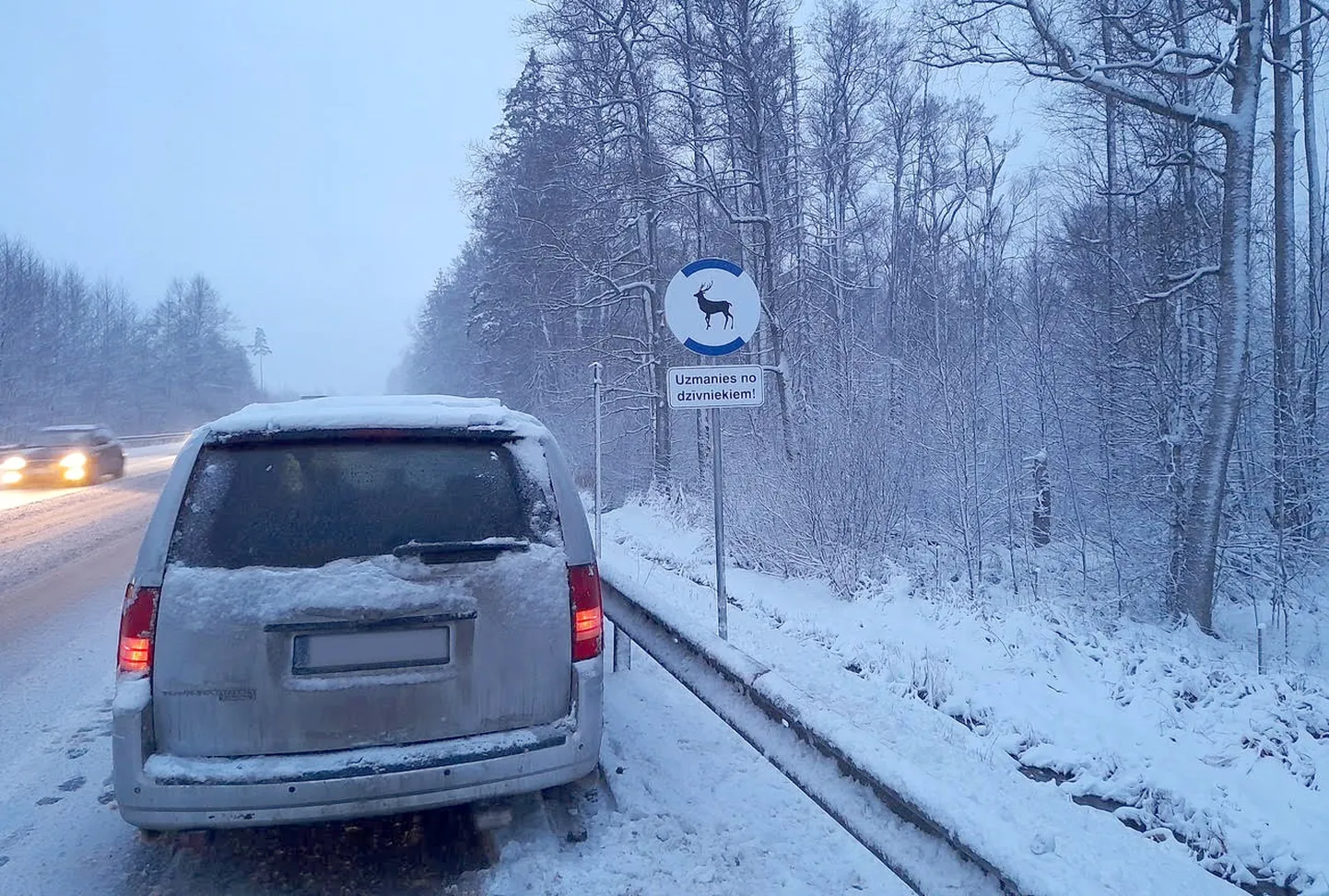 Raksta foto