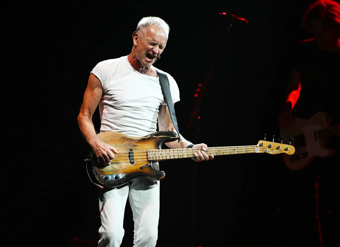 Sting.