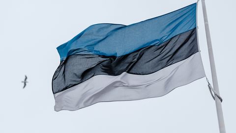 Pühapäeval heisatakse riigikogu valimiste puhul Eesti lipud