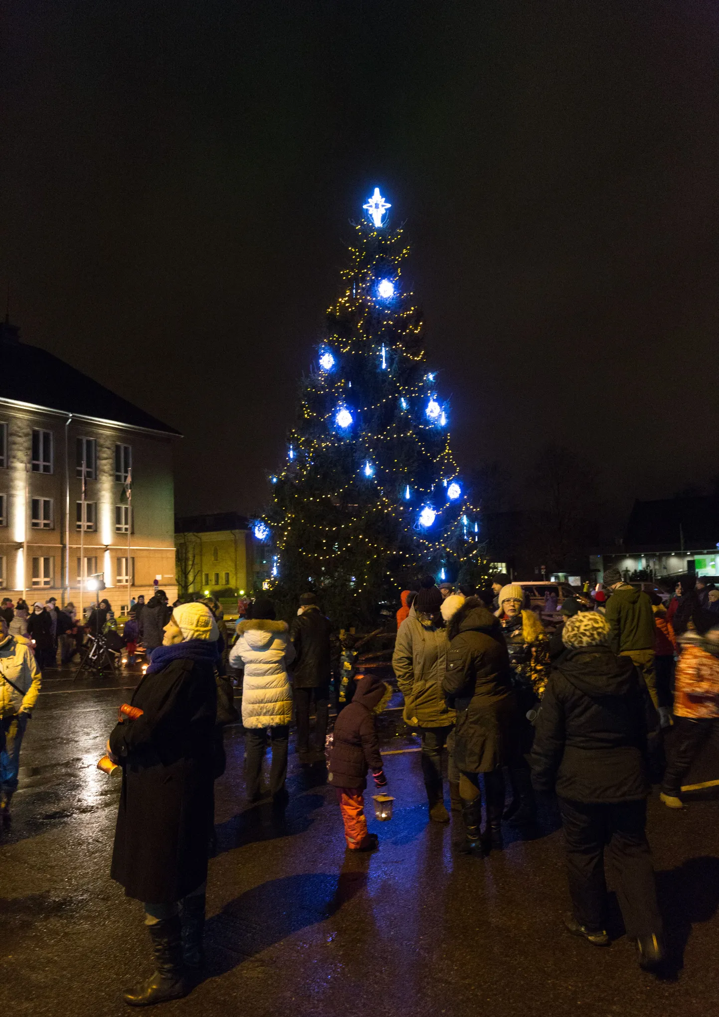 Möödunud aastal seisis Vabaduse platsil Soomevere külast pärit kaheharuline jõulupuu.
