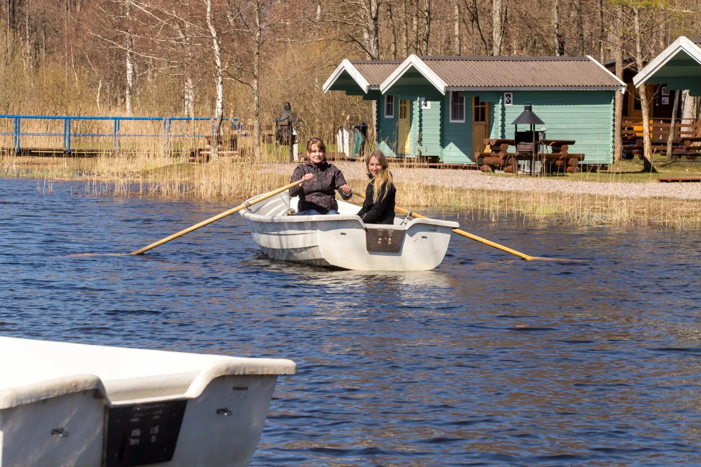 Ermistu (pildil) ja Tõhela järve ümbritsevad eri arengustaadiumis sookooslused ja metsad pakuvad elupaika paljudele väga haruldastele liikidele, seetõttu soovitakse seal piirata näiteks mootoriga veesõidukite liikumist.