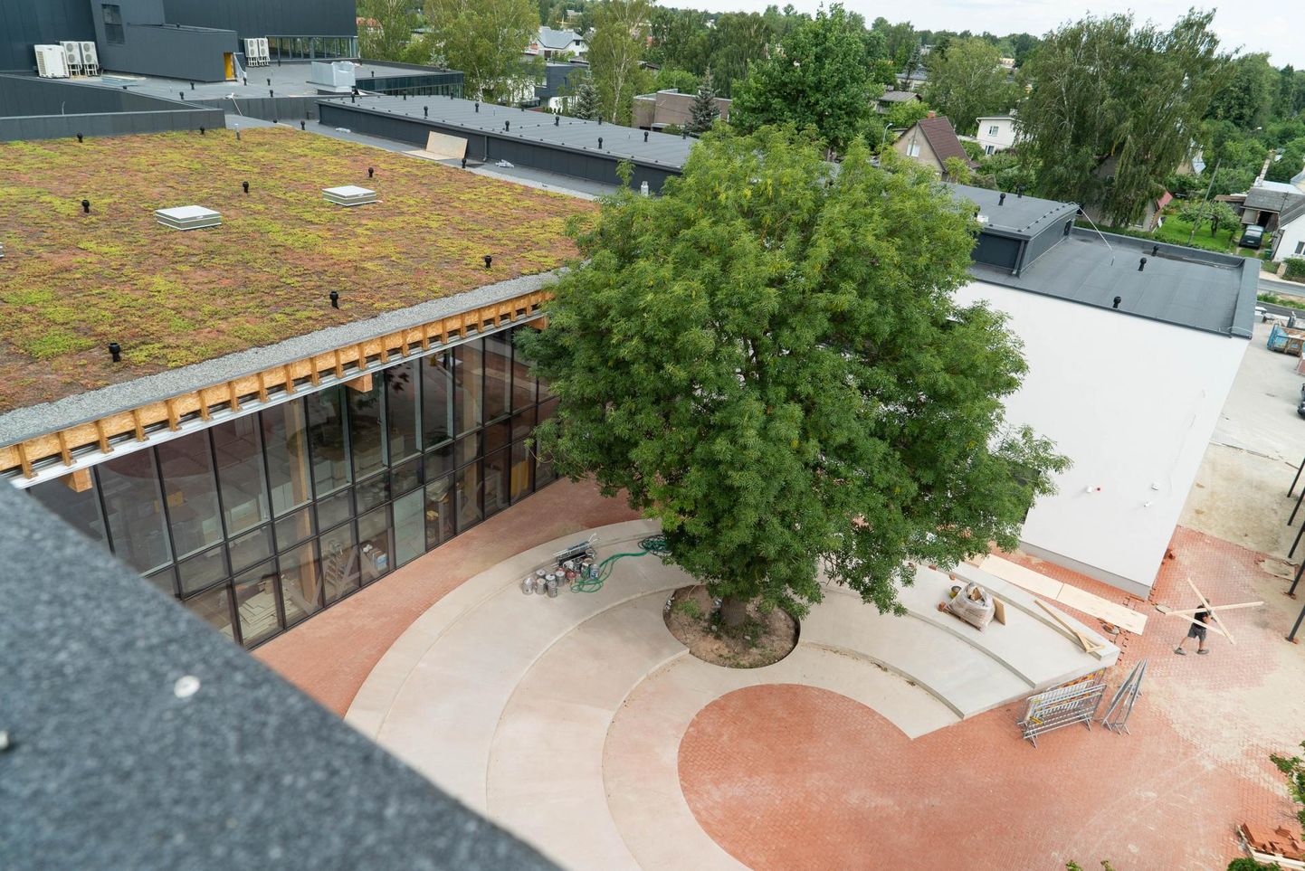 Variku kooli Piima tänava poole jääva uue peasissekäigu katust katab muru. Murukate on ka kokku 128 kohaga rattahoidlate katustel.