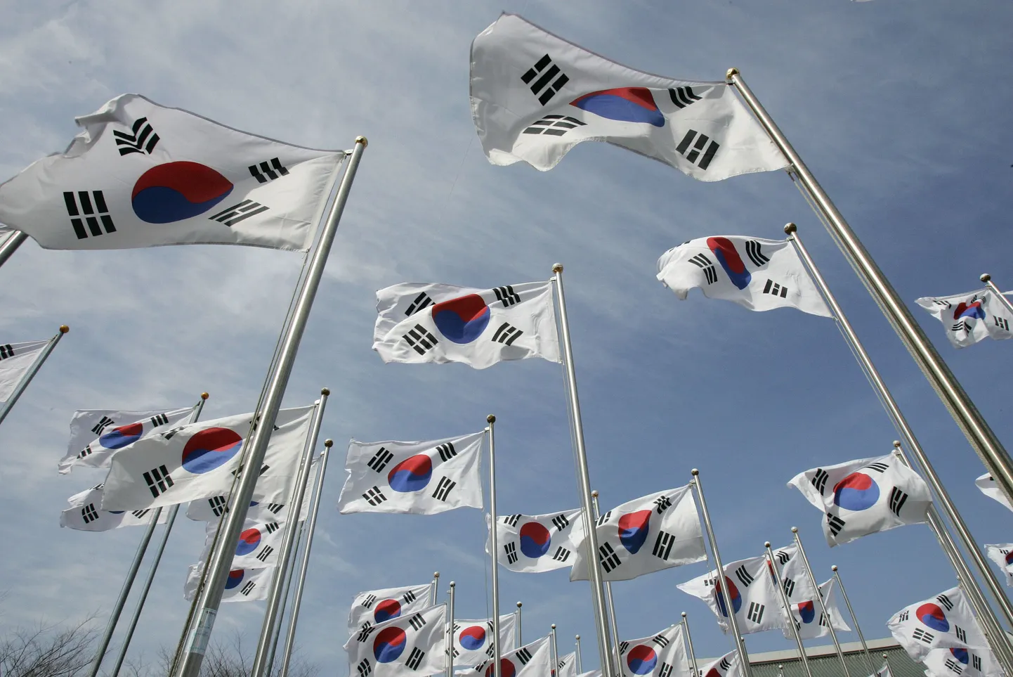 Lõuna-Korea lipud.