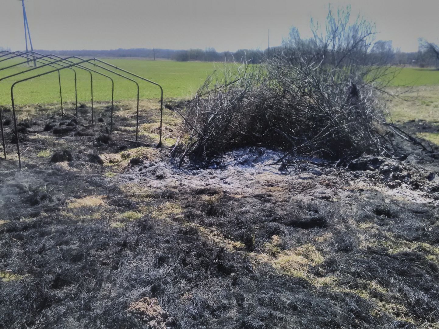 Setomaa vallas Võõpsu külas süttis hooletust lõkkepõletamisest 0,3 hektarit kulu.
