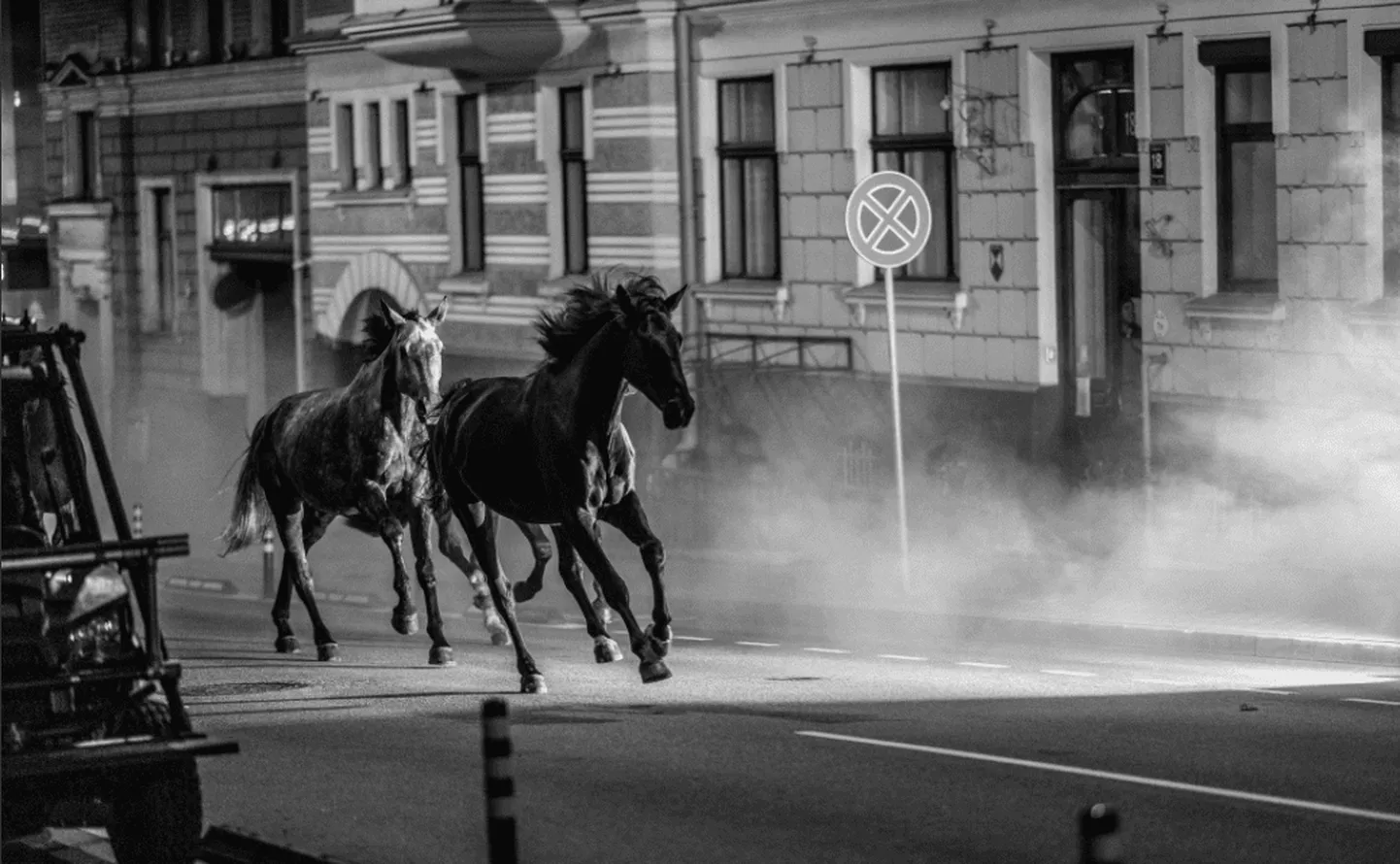 Raksta foto