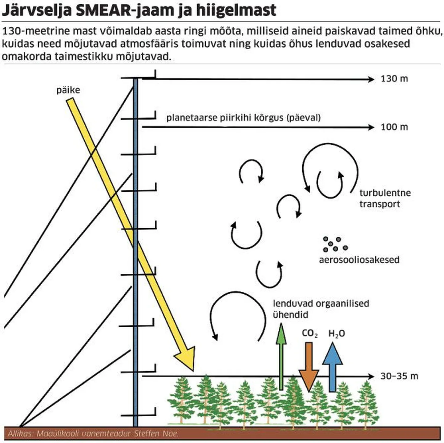Järvselja SMEAR-jaam.