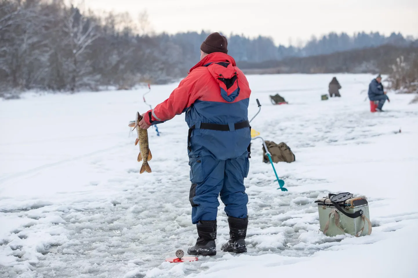 Kalamehed jääl