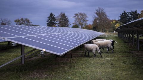 Hiina vaheldid kui julgeolekuoht: EL keelas nende rahastamise päikeseenergiaprojektides