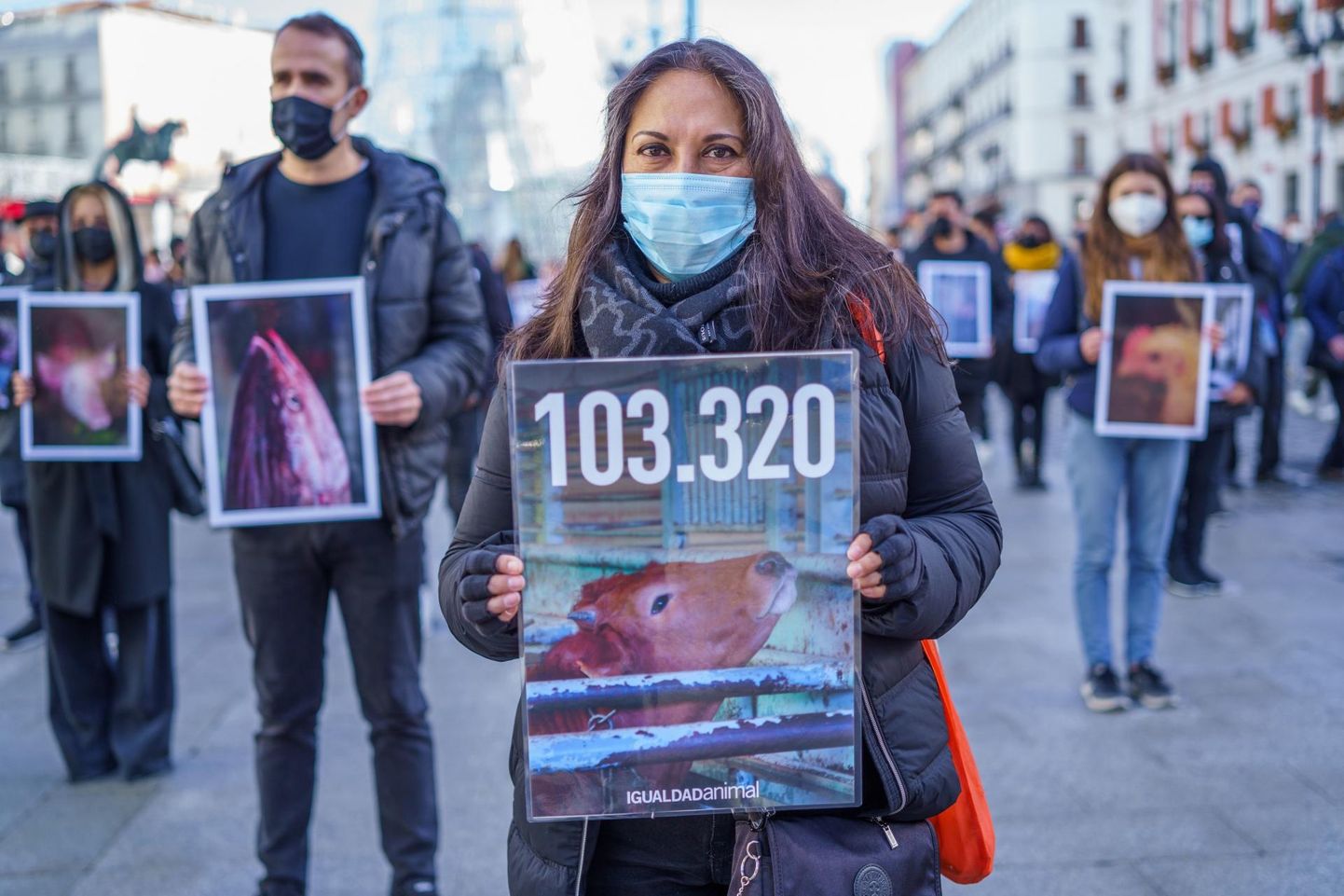 11. detsembril avaldasid loomaõiguslased Madridis meelt liha tarbimise vastu. Nende sõnul tapetakse Hispaanias iga tund 103 320 veist, mis teeb aastas 906 miljonit veist.
 
