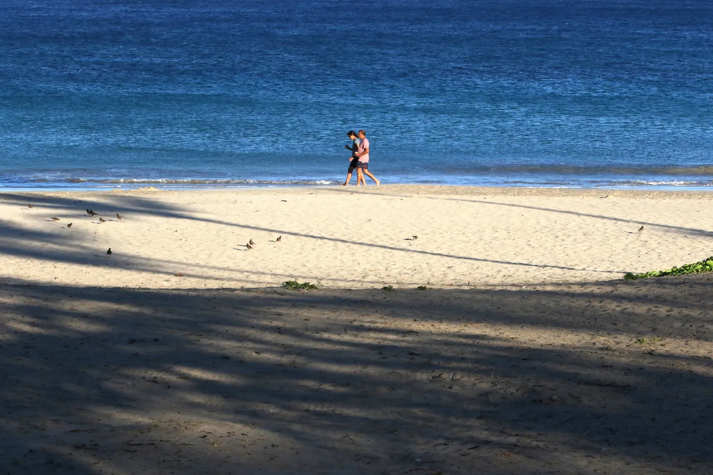 Waimea rannas.