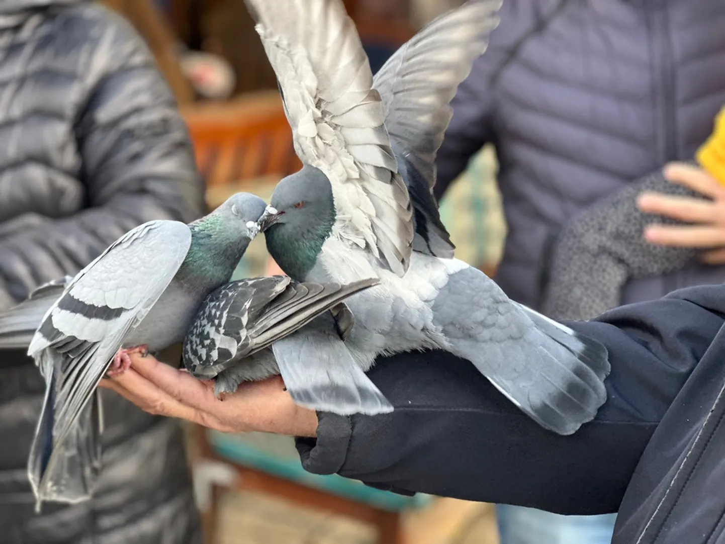 Снимок иллюстративный.