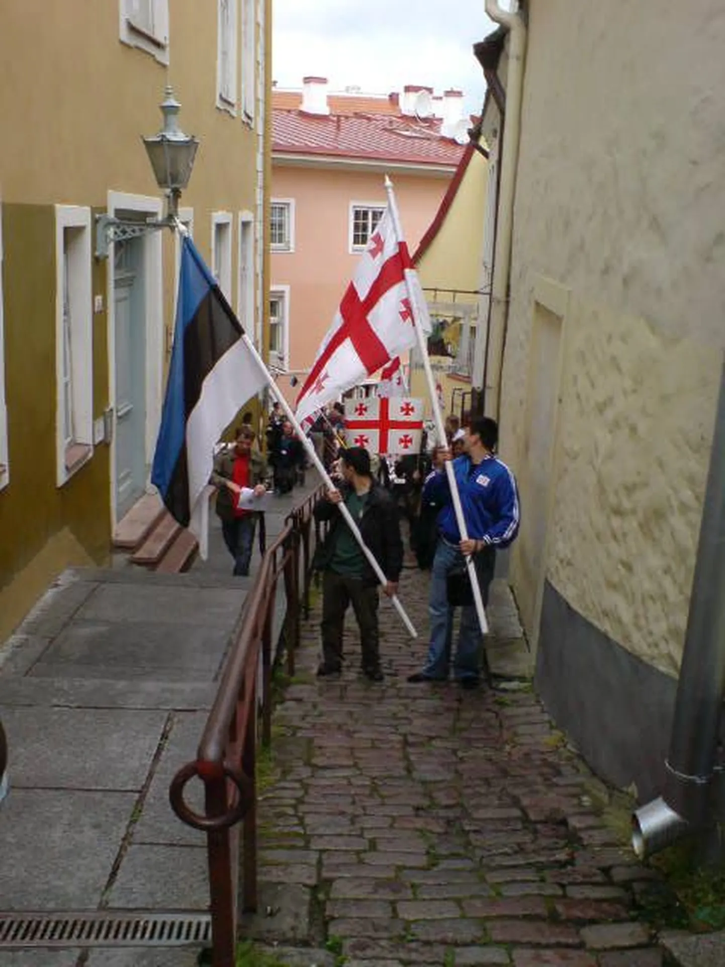 Meeleavaldus Gruusia toetuseks 2008. aastast.