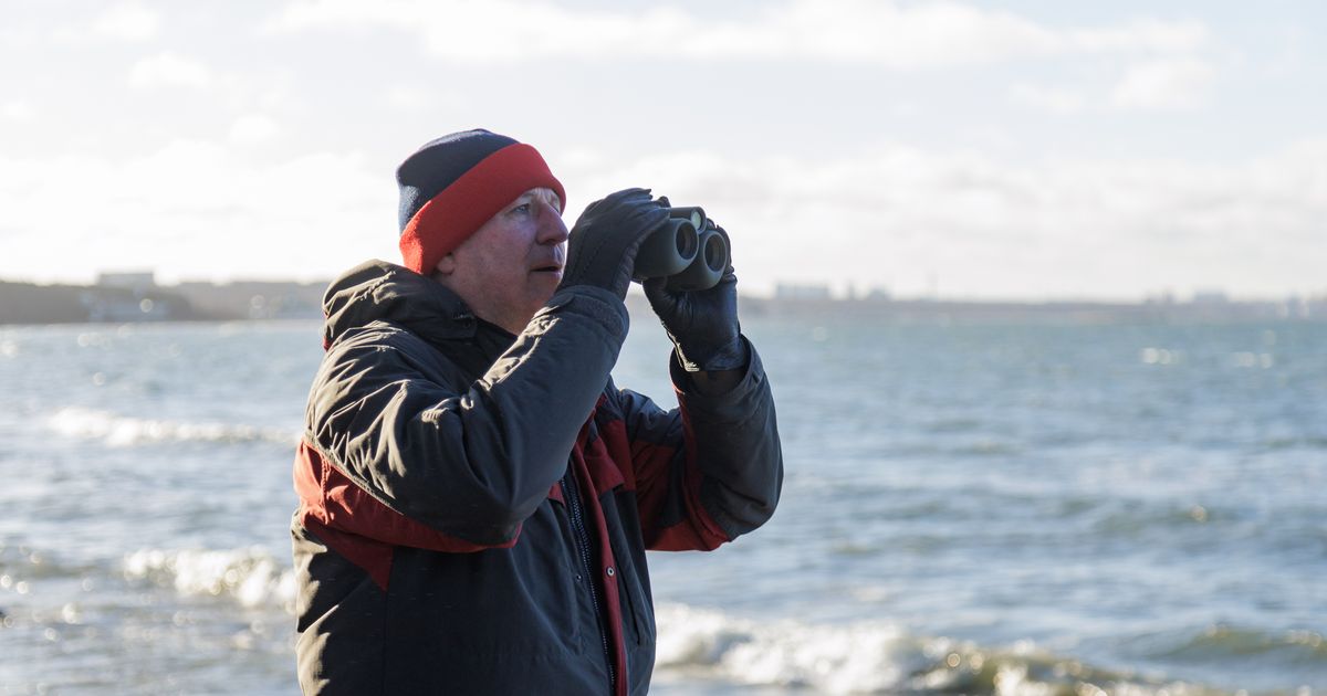 Swarovski binokkel tunnebki linde, loomi ja putukaid