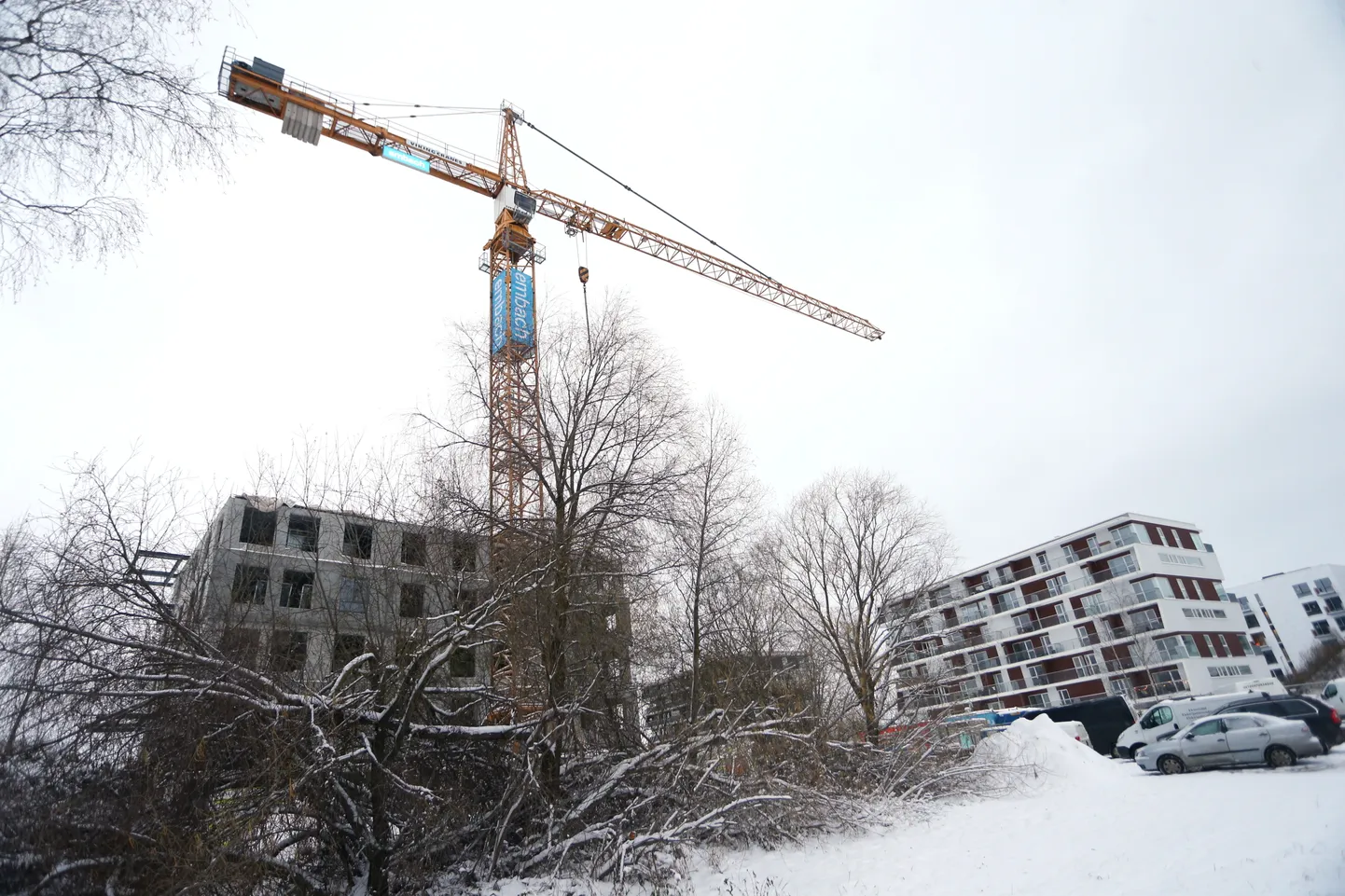 Kaamos Ehituse juhi sõnul on ehitusturg muutuses, ent näha on ka positiivseid märke