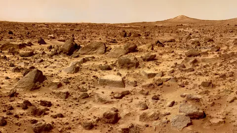 Scientists propose fungi to make Mars soil fertile for future missions