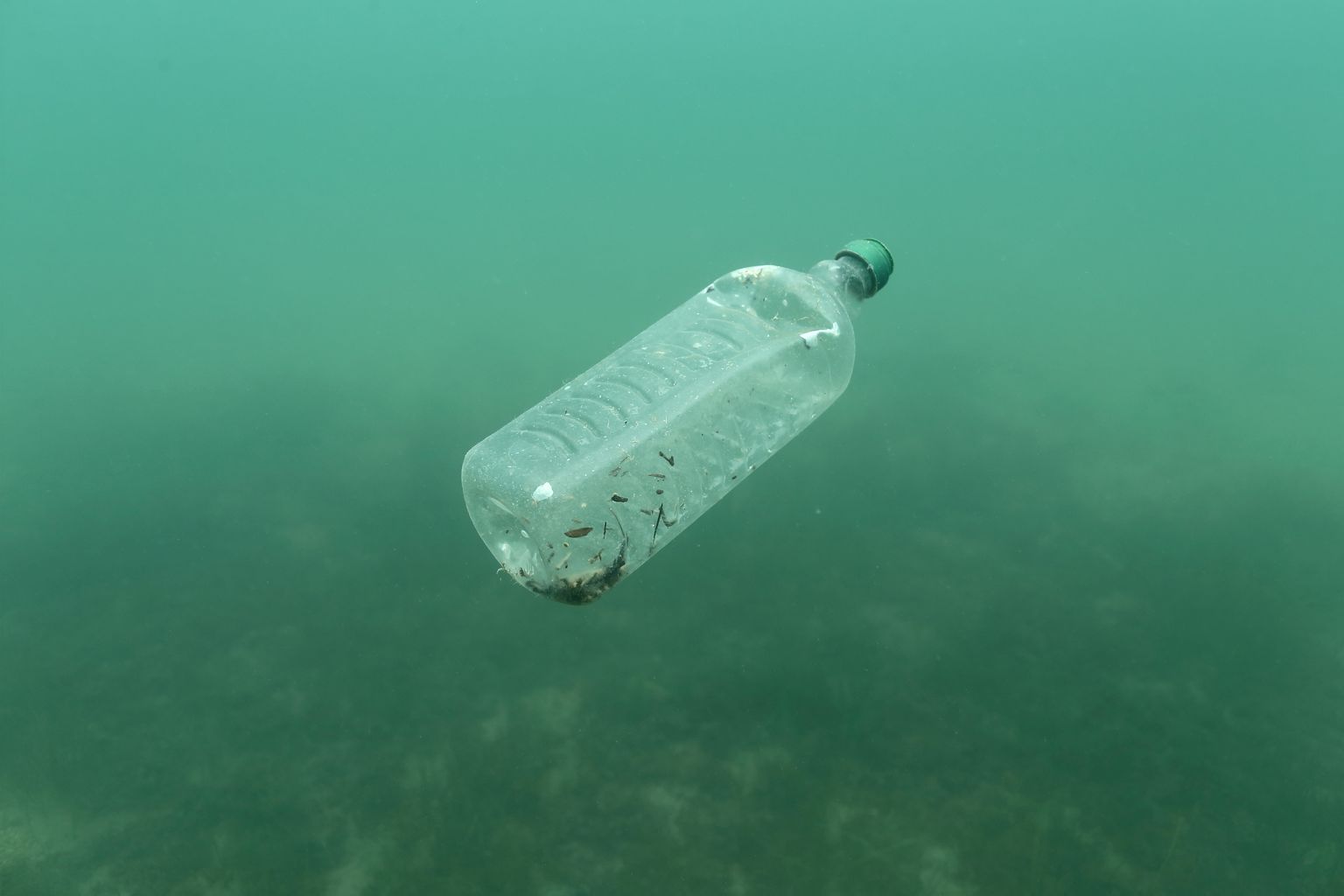 Plastik uputab meresid