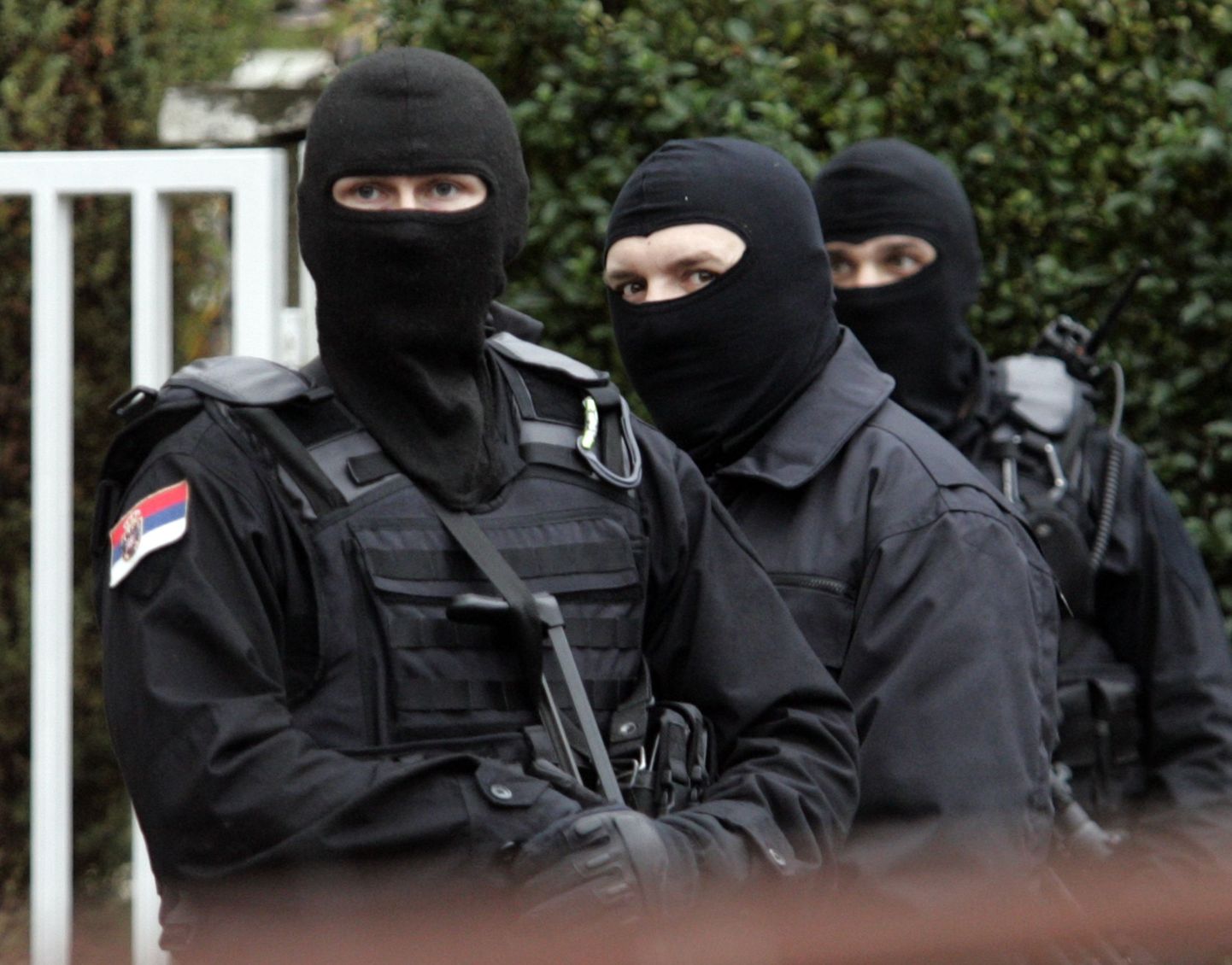 Serbia politseinikud, kes otsisid 4. detsembril läbi Mladići perekonnale kuuluva korteri Belgradis.